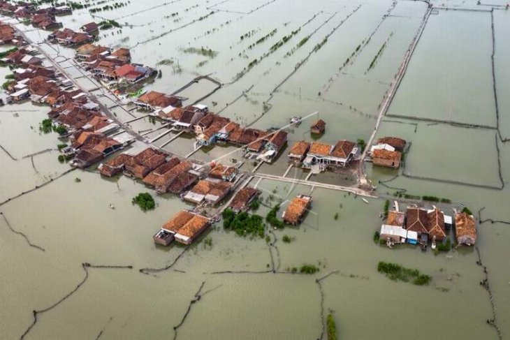 Abrasi pantura Demak