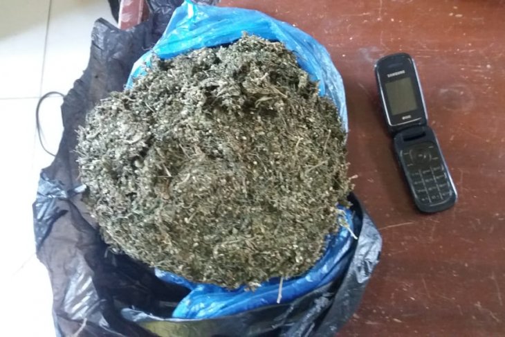 Polisi Langkat amankan ganja 1.300 gram dari penumpang bus