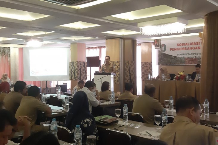 Hortikultura berpeluang sejahterakan petani Kalimantan Barat