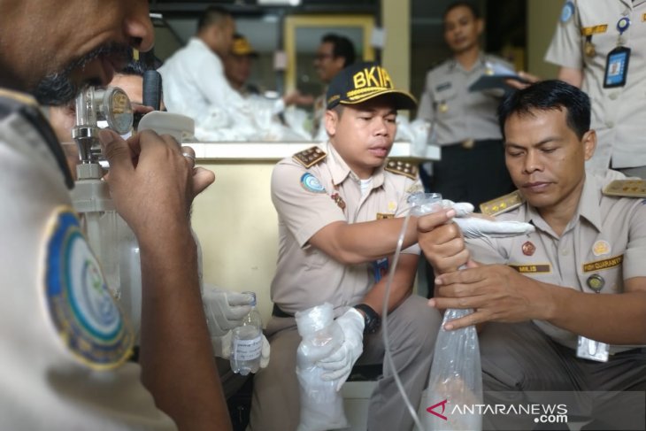 Penyelundupan bibit lobster senilai Rp3,96 miliar berhasil digagalkan