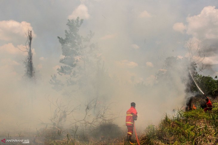 Pekanbaru shrouded in haze from forest fire