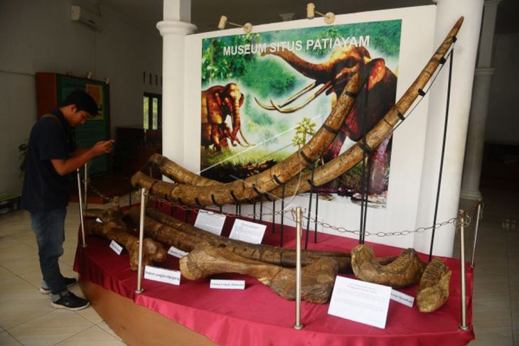 Museum situs purbakala Patiayam