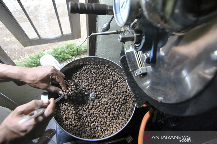 Produksi kopi Cibulao Bogor 