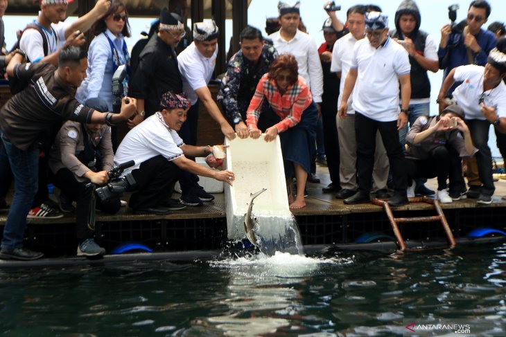 Kunjungan Menteri KKP DI Banyuwangi