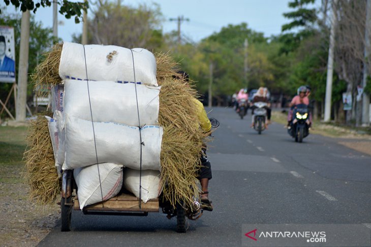 Pemanfaatan jerami padi