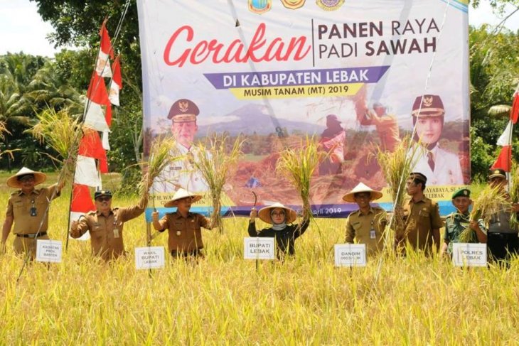 Bupati Iti Octavia minta petani tingkatkan produksi beras