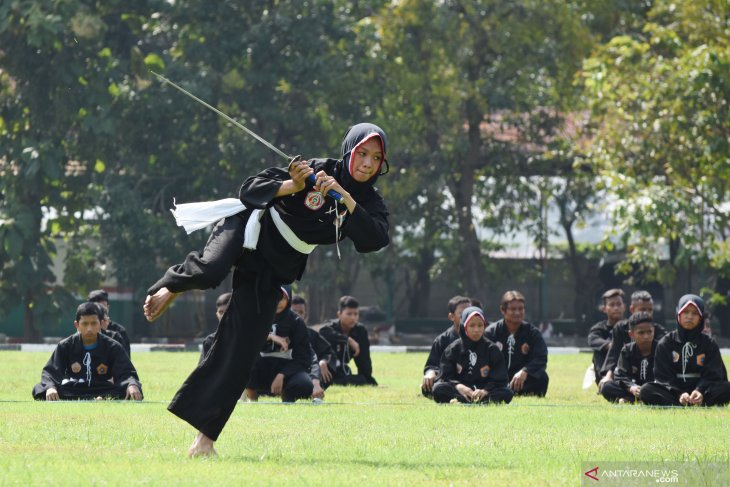 Pengukuhan pencak silat nusantara