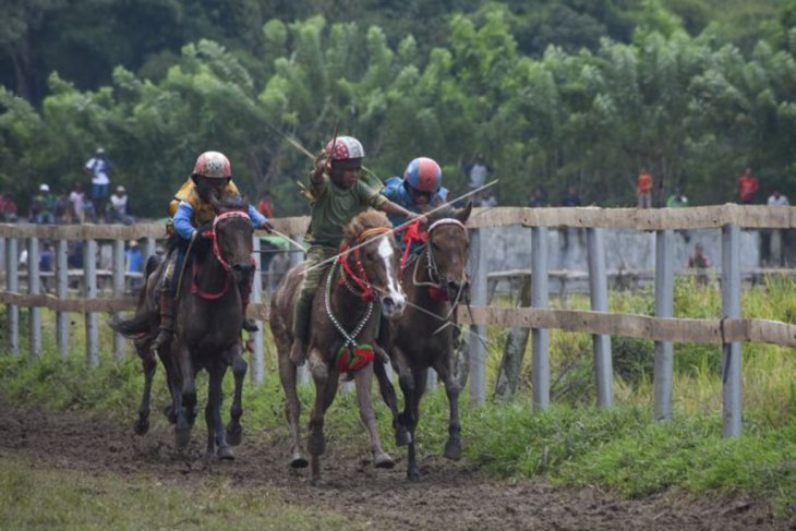 Pacuan kuda Festival Pesona Tambora 2019