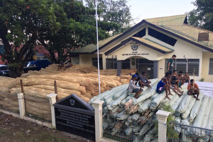 BC Bali-Nusra gagalkan penyelundupan 104,4 ton rotan ke Timor Leste