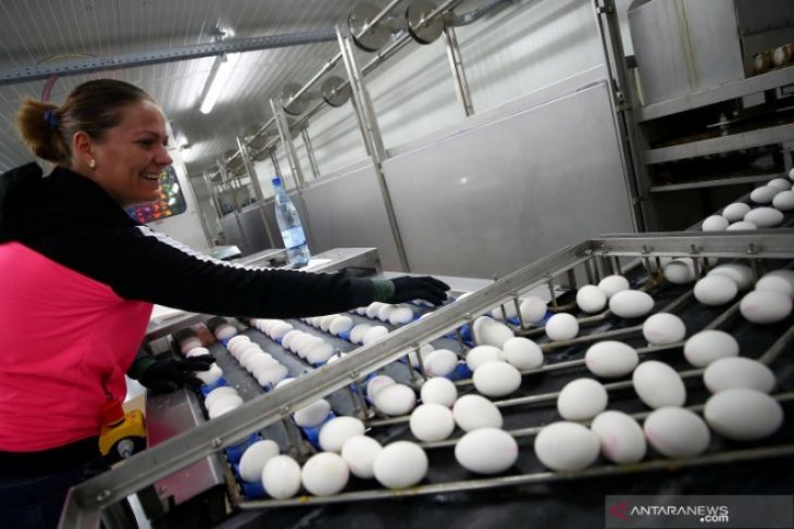 Pembuatan Telur Paskah Di Jerman