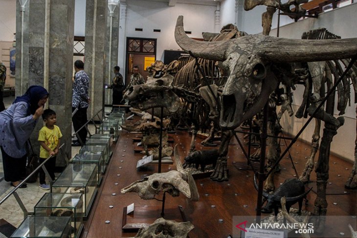 Hari bumi di museum Geologi 