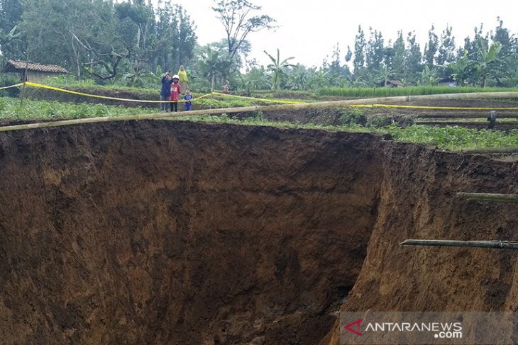 Lubang raksasa di areal persawahan 