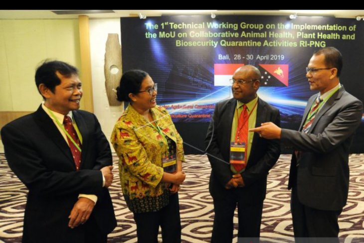Barantan Indonesia-Papua Nugini perkuat akses pasar pertanian