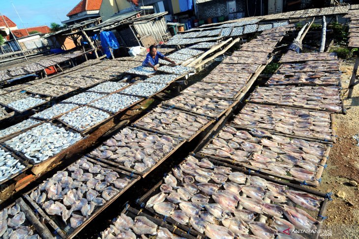 Produksi ikan kering meningkat