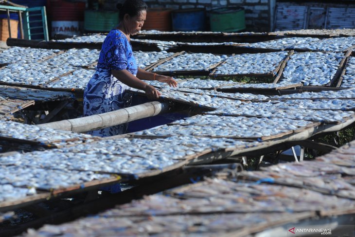 Produksi ikan kering meningkat