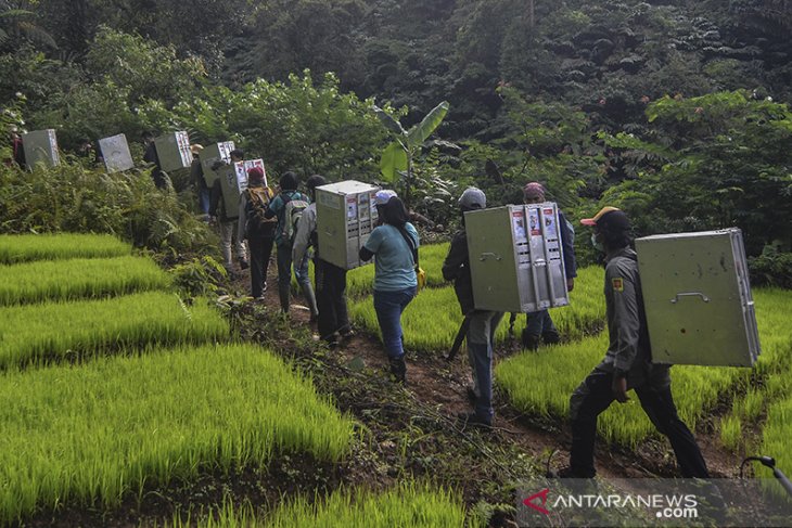 Pelepasliaran Kukang Jawa 