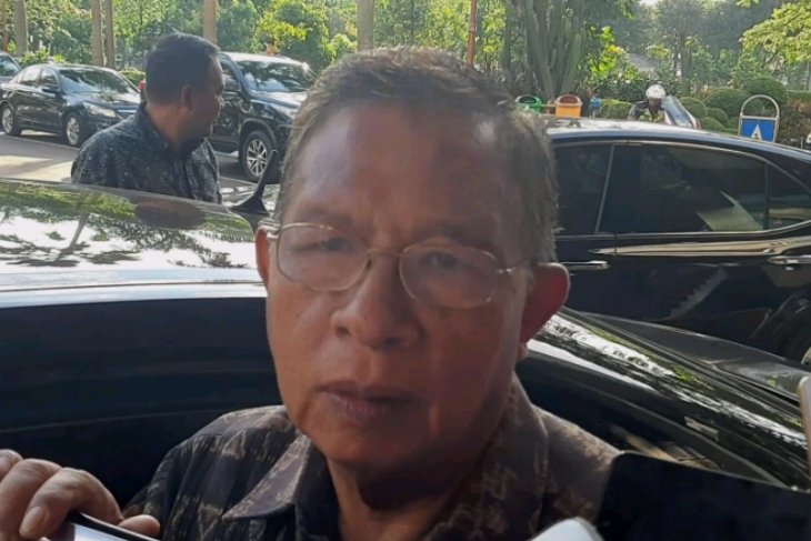 Nasution points to 2019 first-quarter growth pattern resembling 2018