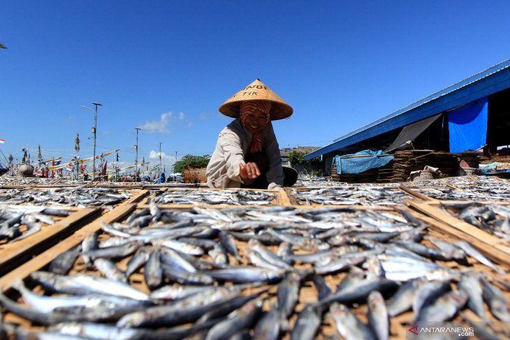 Produksi ikan asin menurun