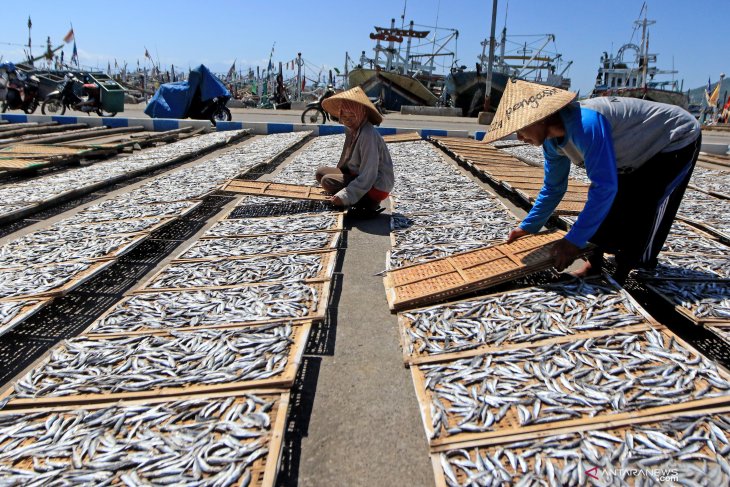 Produksi ikan asin menurun