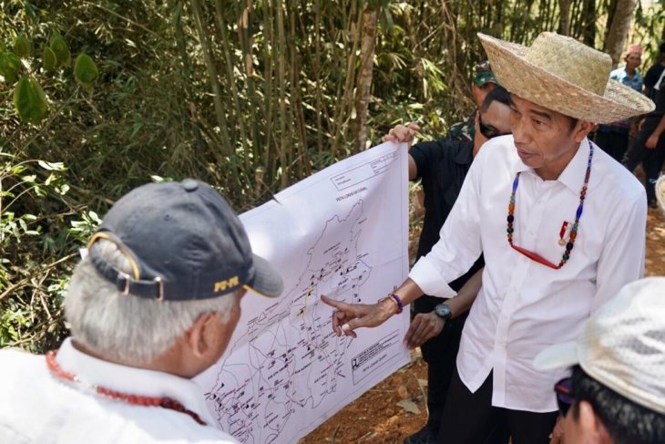 Presiden sebut luas lahan Gunung Mas Kalteng paling siap