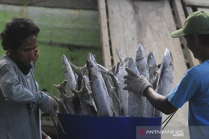 Permintaan ikan meningkat