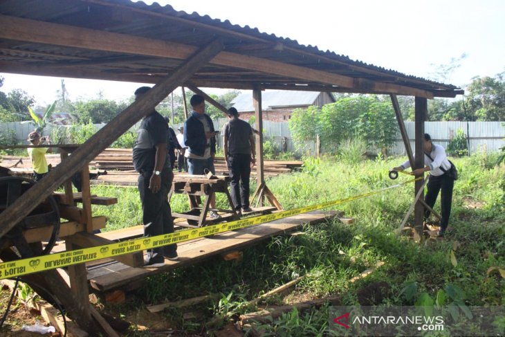 Mabes Polri amankan 2.000 M3 kayu meranti olahan hasil pembalakan liar