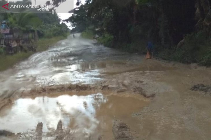 Warga Penajam minta pemerintah perbaiki jalan Trans Kalimantan