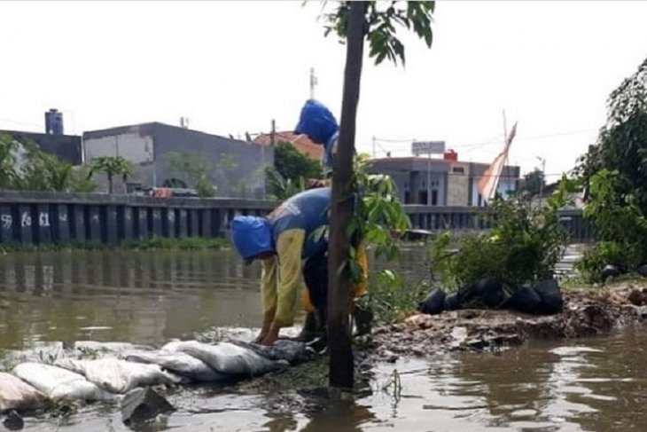 Dinas PUPR Tangerang tinggikan tanggul Kali Ledug upaya atasi banjir
