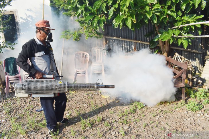 Pengasapan basmi nyamuk penyebab DBD