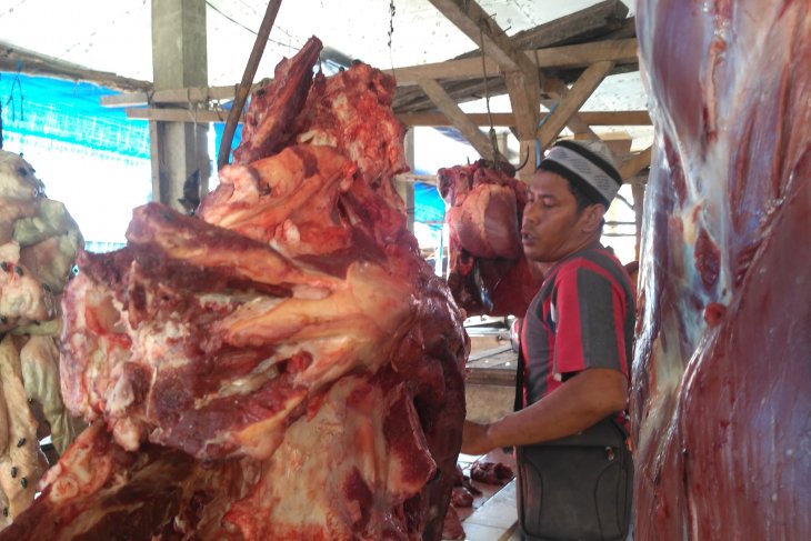 Rumah pemotongan hewan Batanghari jaga daging berkriteria