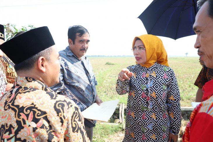 Bupati Serang pantau lokasi Islamic Centre Syech Nawawi Albantani