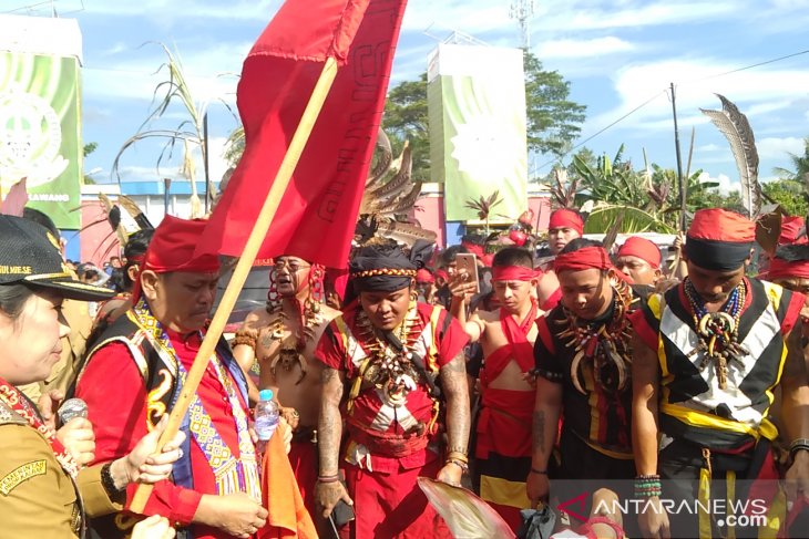 Masyarakat Dayak Singkawang meriahkan kegiatan Naik Dango