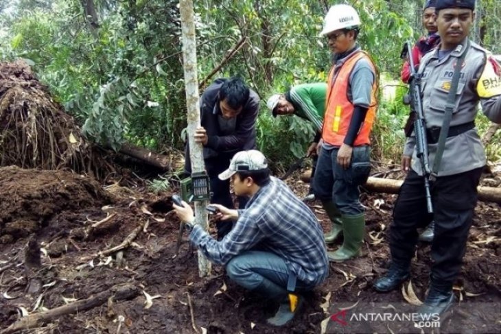 Terkait harimau di proyek tol, tim pasang kamera jebak