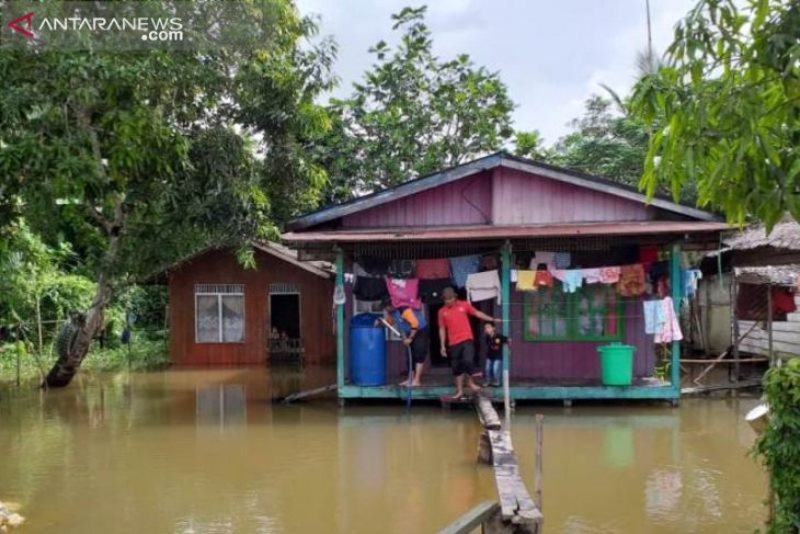 Puluhan rumah di Penajam masih terendam banjir