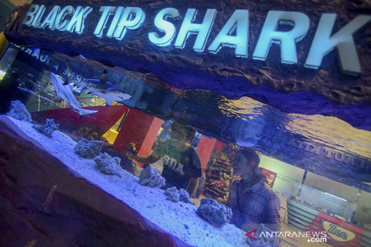 Libur lebaran di TSB 