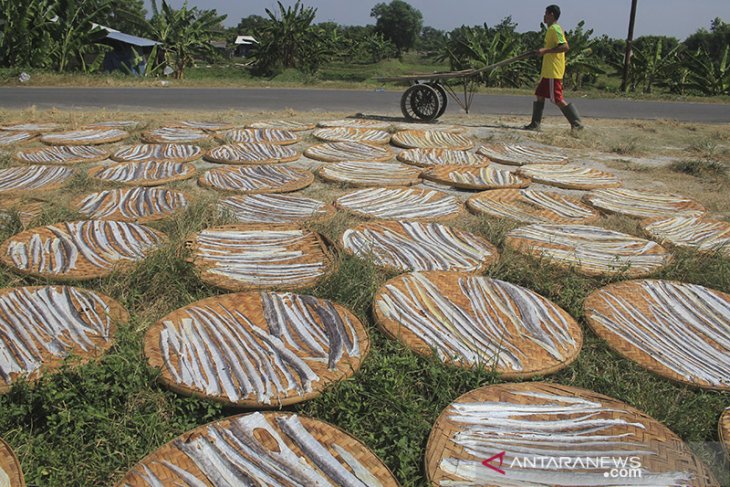 Produksi kerupuk kulit ikan 