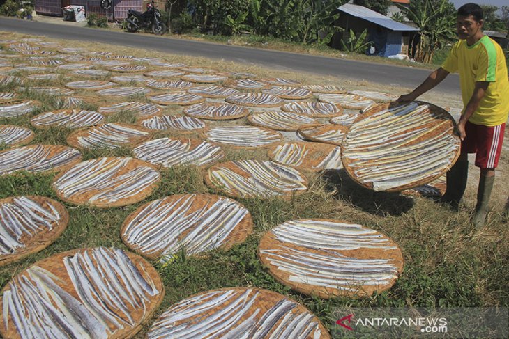 Produksi kerupuk kulit ikan 