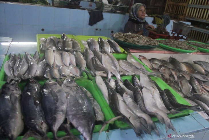 Pasokan ikan laut kurang