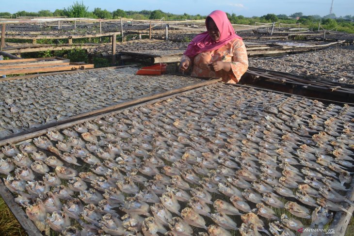 Produksi ikan turun