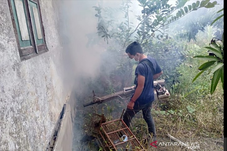 Waspada DBD, pemuda Sungai Toman lakukan pengasapan