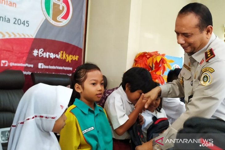 Balai Karantina Pangkalpinang musnahkan bibit jeruk asal Kalimantan