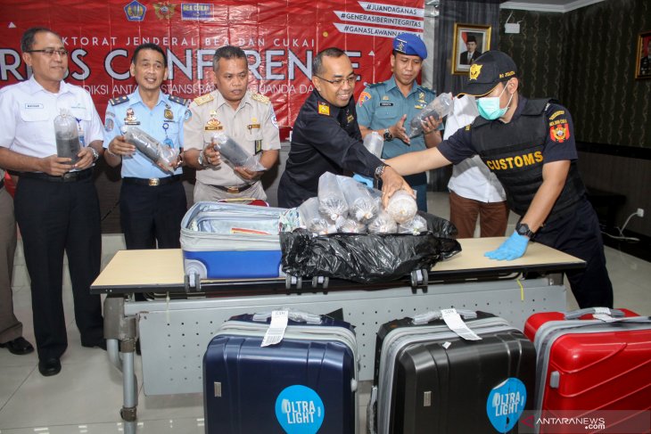 Gagalkan penyelundupan benih lobster