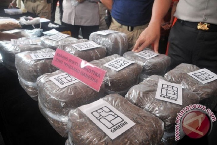 Pengguna narkoba tembakau sintetis divonis 17 tahun penjara