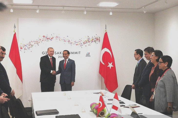 Indonesia-Turkey meeting discusses plans for Erdogan's Indonesia visit