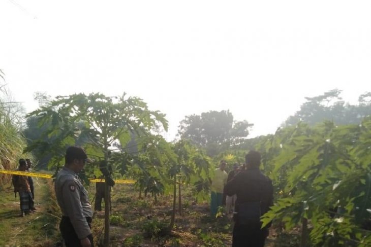 Polisi Kediri selidiki temuan jasad pria di kebun pepaya