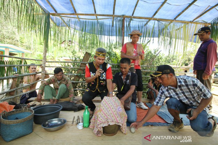  Upacara adat mulai kebuah