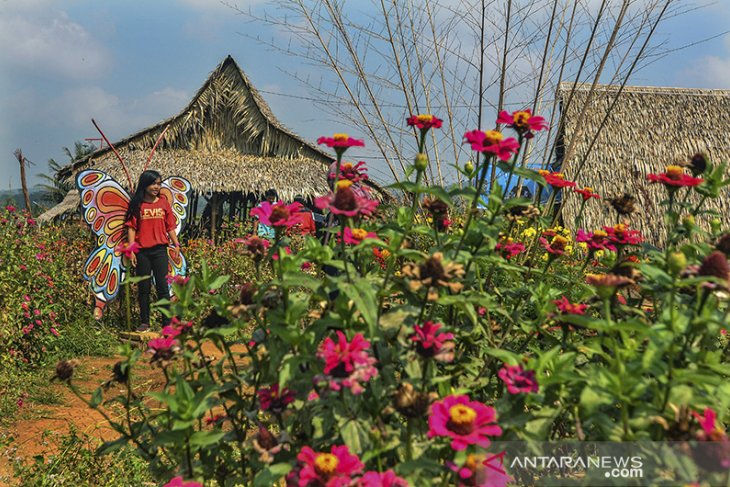 Ekowisata kampoeng sawah 