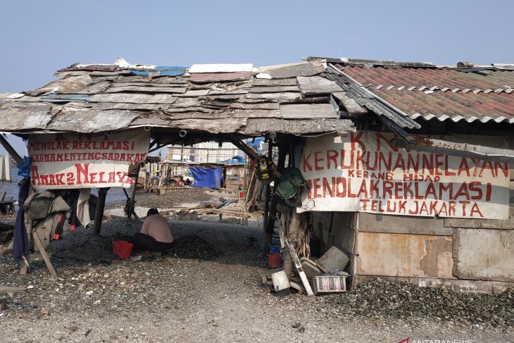 Walhi challenges Baswedan to recover Jakarta Bay coastal ecosystem
