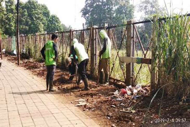 Lahan bekas PKL di Jalan Dr.Semeru ditanami pohon