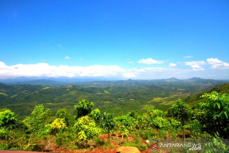 Wisata Kekinian Di Puncak Tahura Mandiangin